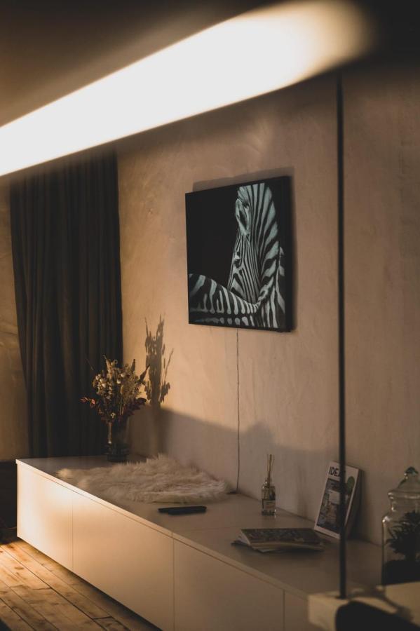 אנסי L'Appart' - Ideal For A Stay In The City Center Near The Lake מראה חיצוני תמונה